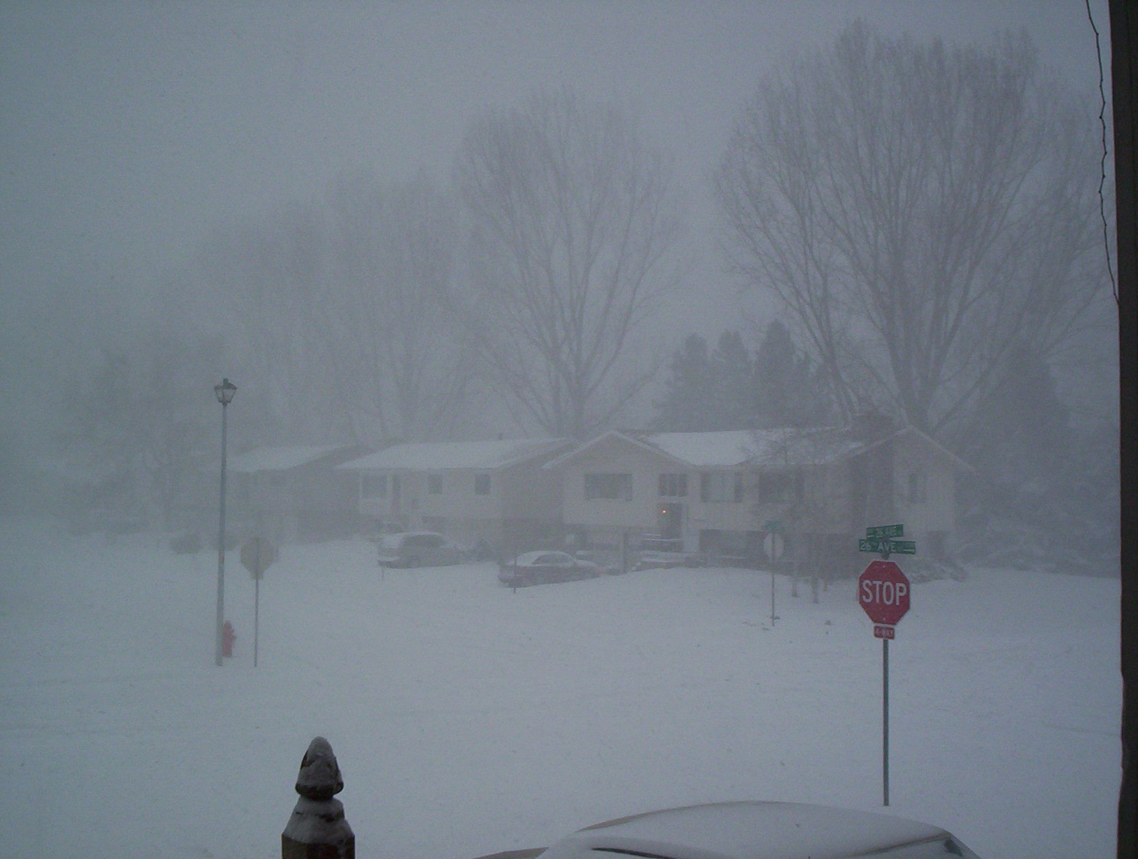 blizzard2.jpg