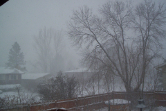 2006 Colorado Blizzard